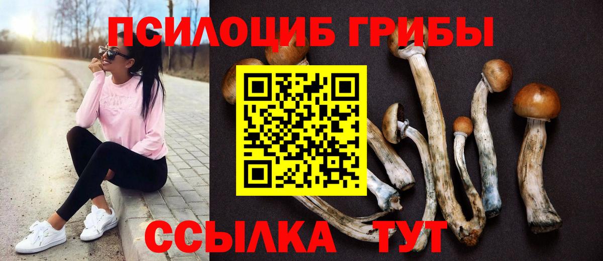Галлюциногенные грибы Psilocybine cubensis Добрянка